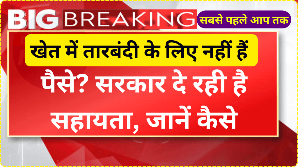 खेत में तारबंदी के लिए नहीं हैं पैसे? सरकार दे रही है सहायता, जानें कैसे | Rajasthan Tarbandi Yojana 2025